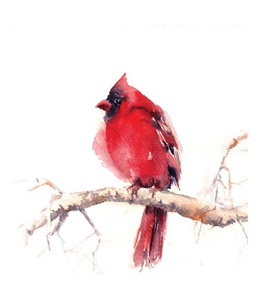Framed Cardinal Print