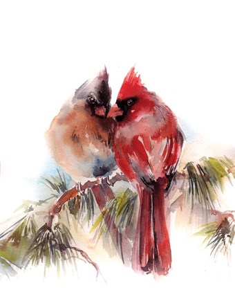Framed Cardinals V Print