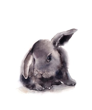 Framed Portrait of a Rabbit Print