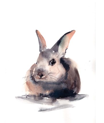 Framed Portrait of a Rabbit II Print