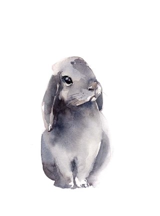 Framed Portrait of a Rabbit IV Print