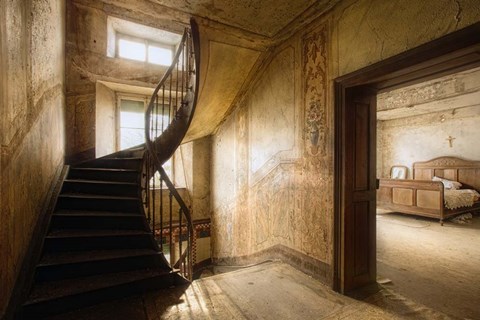 Framed Vintage Print