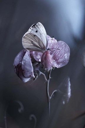 Framed Tainted Love Print