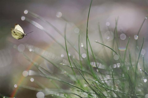 Framed Imminent Landing Print