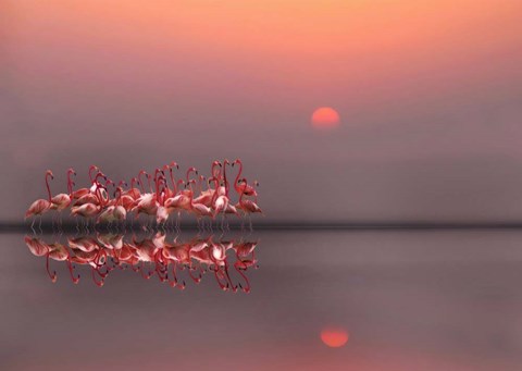 Framed Purple Sunset Print