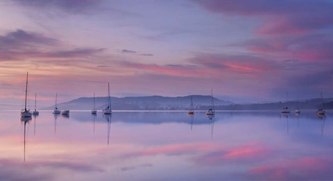 Framed Morning Mood Print