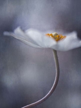 Framed Beauty Within Print