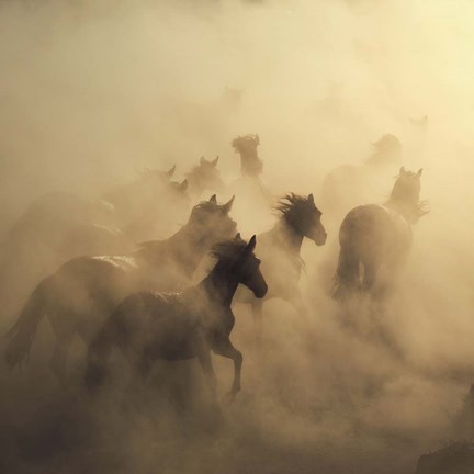 Framed Migration Of Horses Print