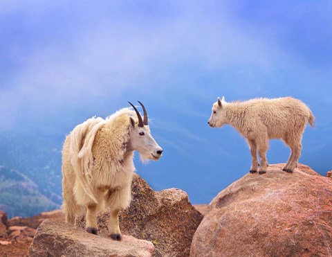 Framed Mother&#39;s Smile Print