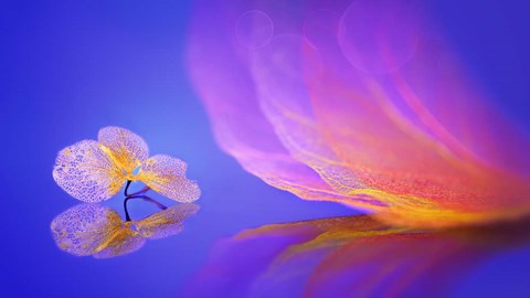 Framed Leaf Message Print