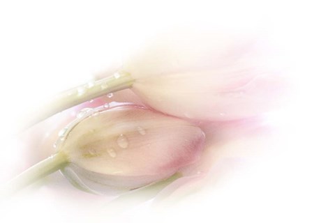 Framed Touching Print