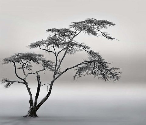 Framed Very Long Story Print