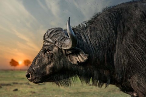 Framed Imagine Print