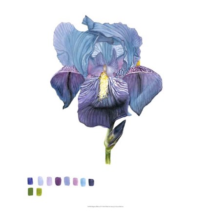 Framed Brighton Blooms IV Print