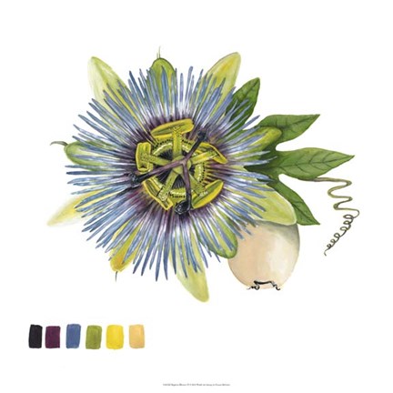 Framed Brighton Blooms VI Print