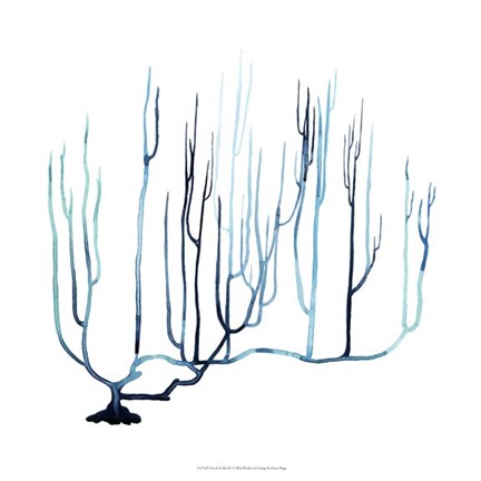 Framed Fan de la Mer IV Print