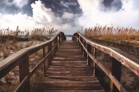 Framed Path To Paradise Print