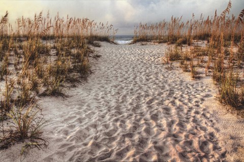 Framed Path To The Beach Print