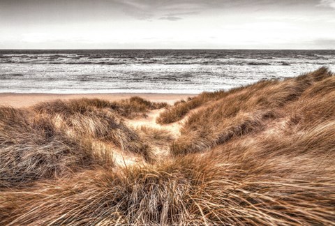Framed Beach Dunes Print