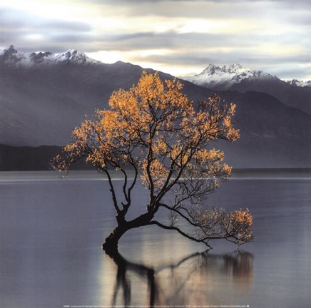 Framed Undisturbed Print