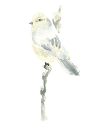 Framed Avian Impressions I Print