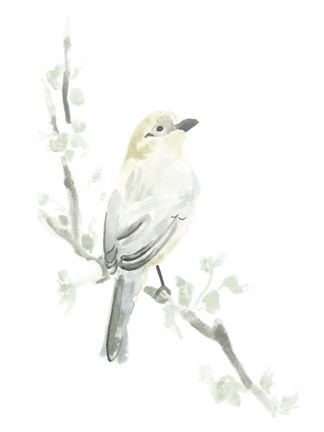 Framed Avian Impressions IV Print