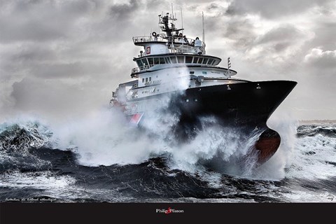 Framed Abeille Bourbon Print