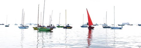 Framed Caravelles Print