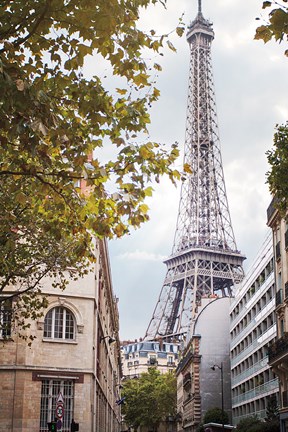 Framed Eiffel View II Print