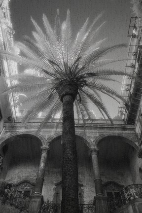 Framed Palermo Print