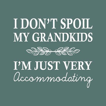 Framed I Don&#39;t Spoil My Grandkids Leaf Design Teal Print