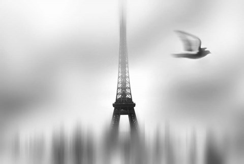Framed Eiffel Serene Print
