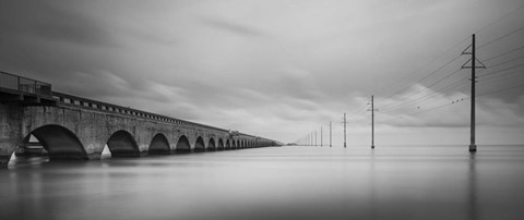 Framed Birds Talking Print