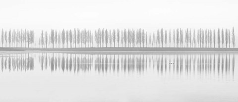 Framed Misty Alley Print