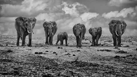 Framed Big Family Print