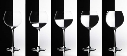 Framed Black &amp; White Print