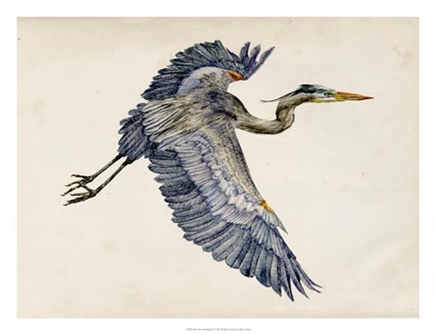 Framed Blue Heron Rendering IV Print
