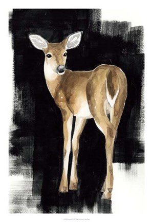 Framed Nocturnal I Print