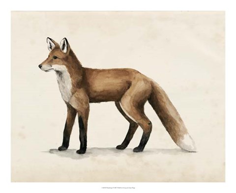 Framed Wandering I Print