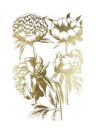 Framed Gold Foil Floral Chintz II Print