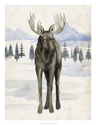 Framed Alaskan Wilderness I Print