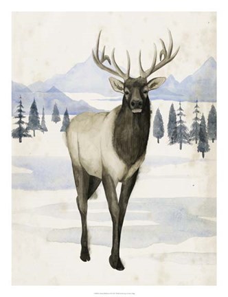 Framed Alaskan Wilderness II Print