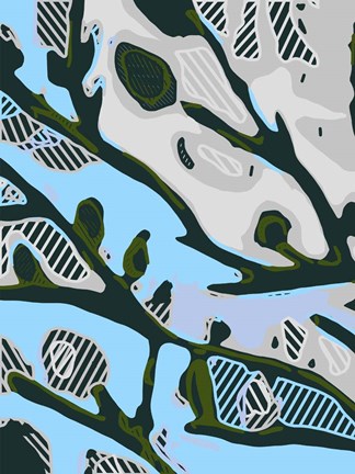 Framed Abstract Tree Limbs I Print