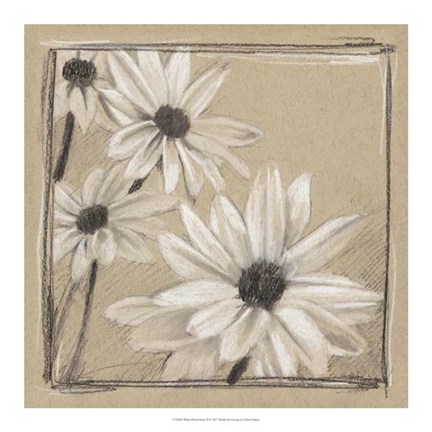 Framed White Floral Study II Print