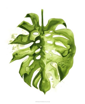 Framed Monstera II Print