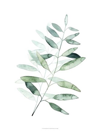 Framed Serene Reed II Print