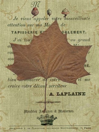 Framed Autumn Leaf II Print