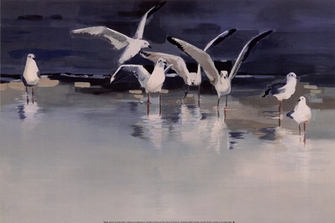 Framed Serenity Print