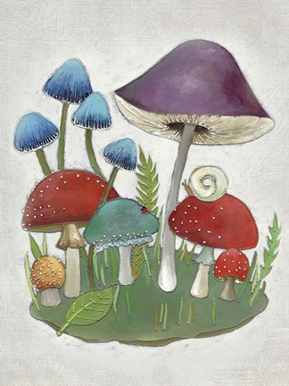 Framed Mushroom Collection II Print