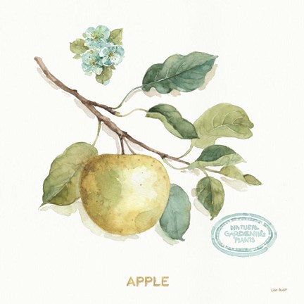 Framed My Greenhouse Fruit IV Print